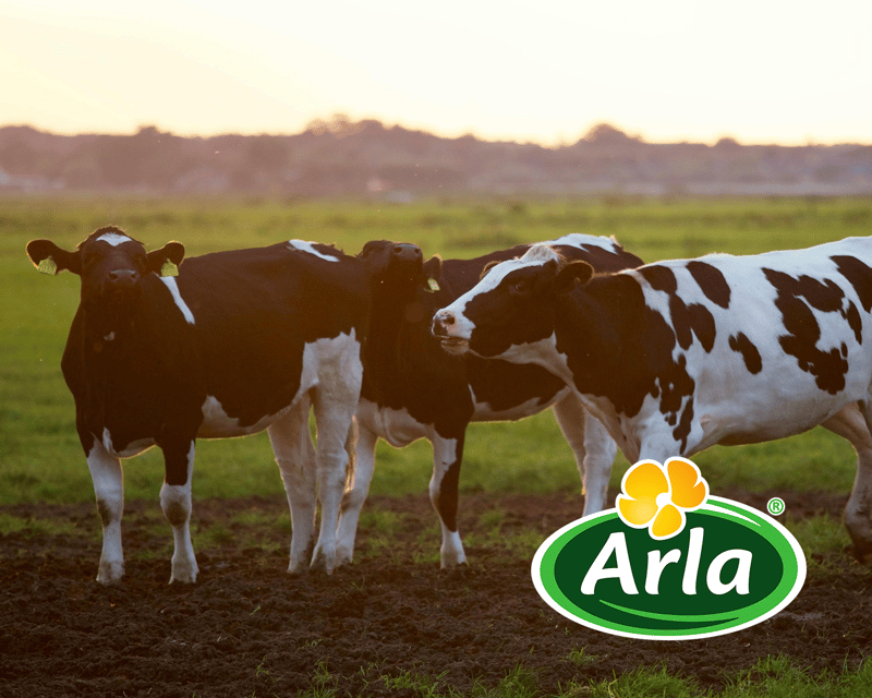 Citat Arla
