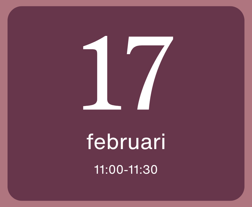 Mall Webinar talar bild-3