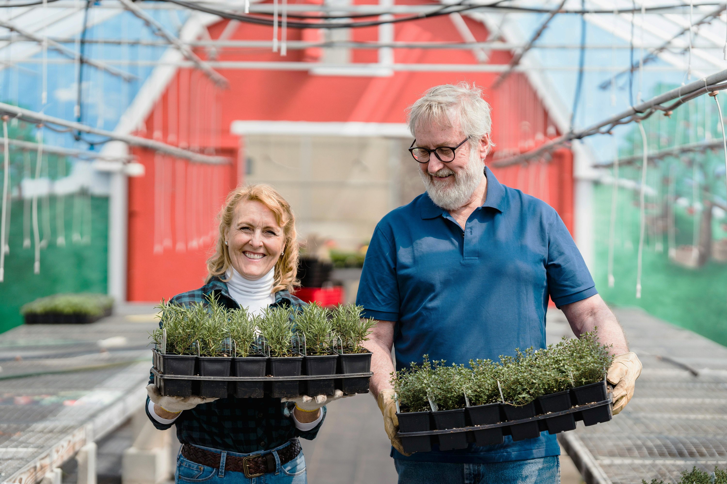 Leende man och kvinna i växthus som håller lådor med gröna plantor, omgivna av röda och gröna strukturer